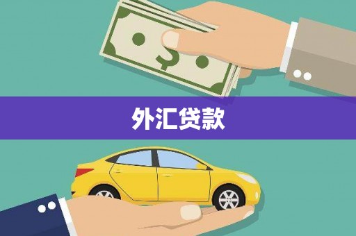 措勤外汇贷款