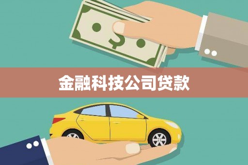 措勤金融科技公司贷款