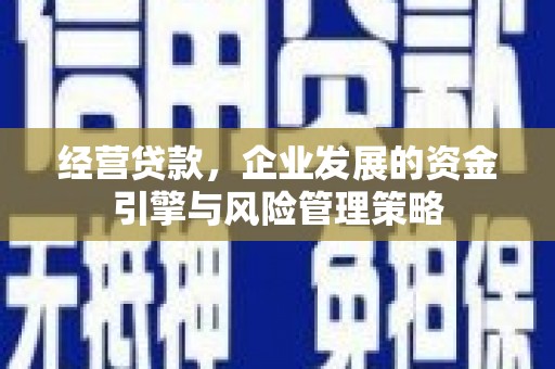 措勤经营贷款，企业发展的资金引擎与风险管理策略
