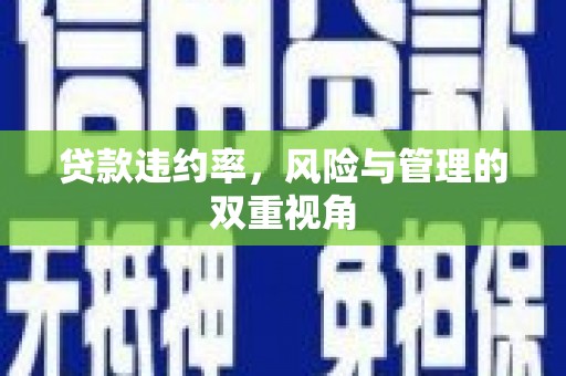措勤贷款违约率，风险与管理的双重视角
