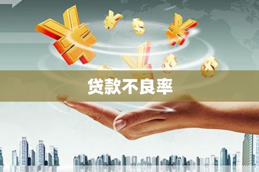 措勤贷款不良率