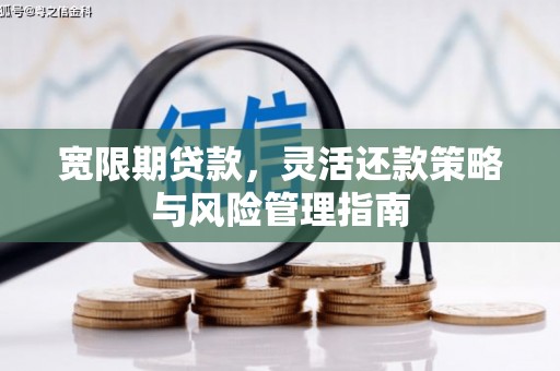措勤宽限期贷款，灵活还款策略与风险管理指南