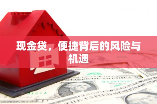 措勤现金贷，便捷背后的风险与机遇