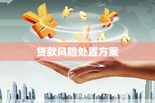 措勤贷款风险处置方案