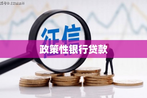 措勤政策性银行贷款