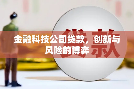 措勤金融科技公司贷款，创新与风险的博弈