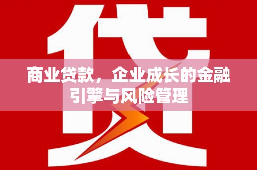措勤商业贷款，企业成长的金融引擎与风险管理