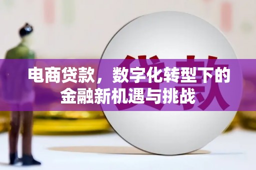 措勤电商贷款，数字化转型下的金融新机遇与挑战