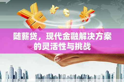 措勤随薪贷，现代金融解决方案的灵活性与挑战
