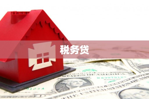 措勤税务贷