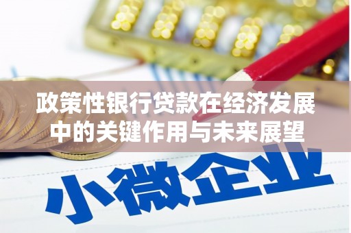 措勤政策性银行贷款在经济发展中的关键作用与未来展望