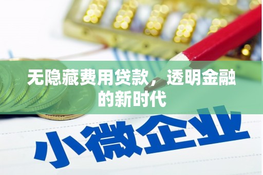 措勤无隐藏费用贷款，透明金融的新时代