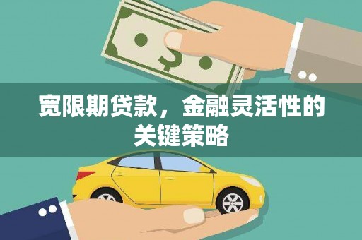 措勤宽限期贷款，金融灵活性的关键策略