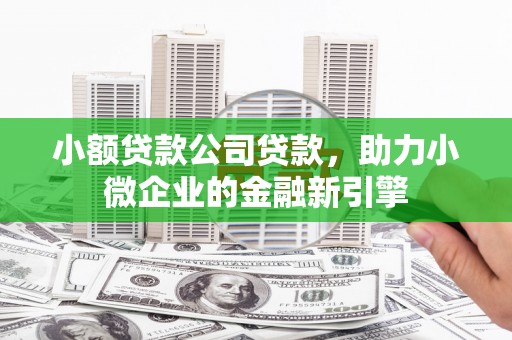 措勤小额贷款公司贷款，助力小微企业的金融新引擎