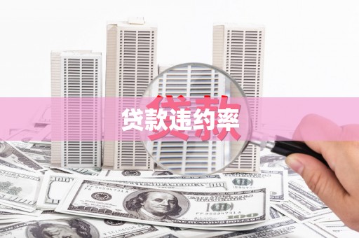 措勤贷款违约率