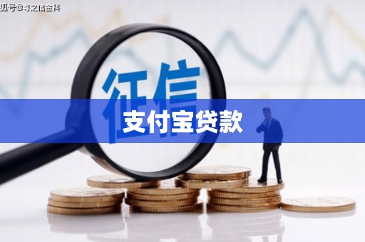 措勤支付宝贷款