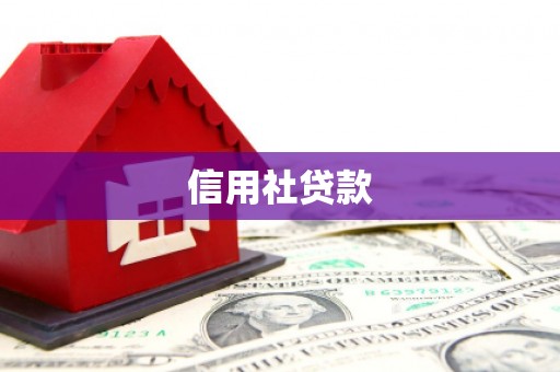 措勤信用社贷款