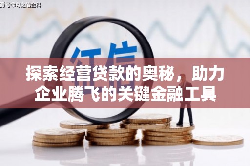 措勤探索经营贷款的奥秘，助力企业腾飞的关键金融工具