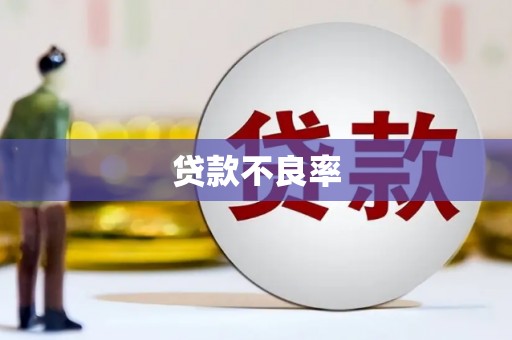 措勤贷款不良率