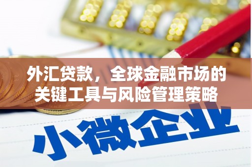 措勤外汇贷款，全球金融市场的关键工具与风险管理策略