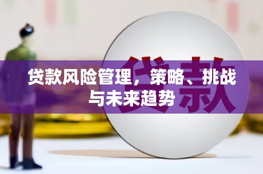 措勤贷款风险管理，策略、挑战与未来趋势