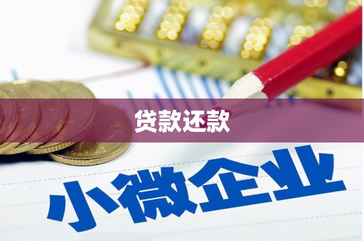措勤贷款还款