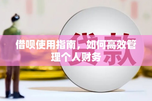 措勤借呗使用指南，如何高效管理个人财务