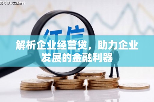 措勤解析企业经营贷，助力企业发展的金融利器