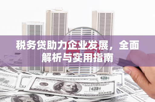 措勤税务贷助力企业发展，全面解析与实用指南