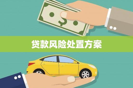 措勤贷款风险处置方案