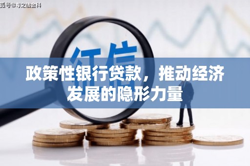 措勤政策性银行贷款，推动经济发展的隐形力量