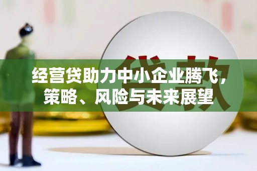 措勤经营贷助力中小企业腾飞，策略、风险与未来展望