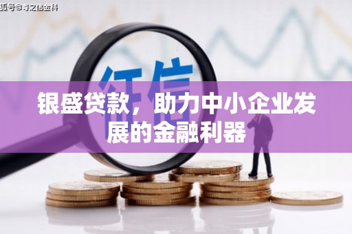 措勤银盛贷款，助力中小企业发展的金融利器