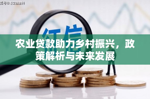 措勤农业贷款助力乡村振兴，政策解析与未来发展