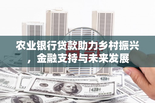 措勤农业银行贷款助力乡村振兴，金融支持与未来发展