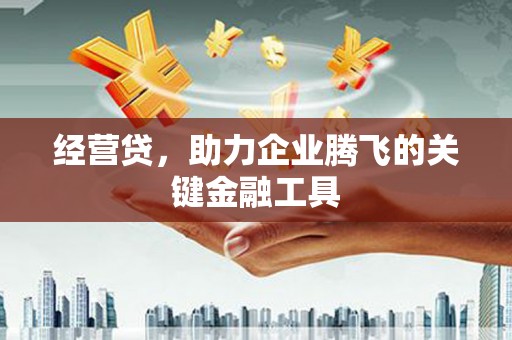 措勤经营贷，助力企业腾飞的关键金融工具