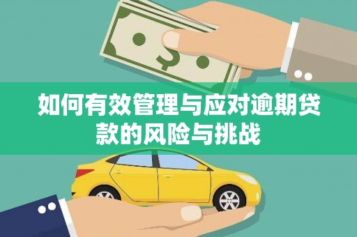 措勤如何有效管理与应对逾期贷款的风险与挑战