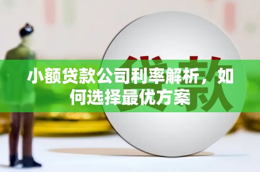 措勤小额贷款公司利率解析，如何选择最优方案