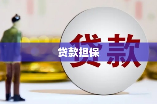 措勤贷款担保