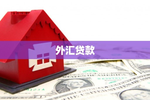 措勤外汇贷款