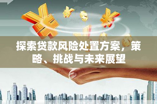 措勤探索贷款风险处置方案，策略、挑战与未来展望