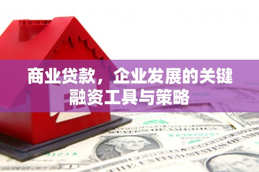措勤商业贷款，企业发展的关键融资工具与策略