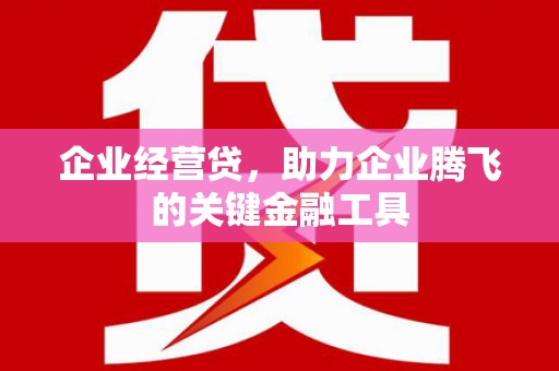 措勤企业经营贷，助力企业腾飞的关键金融工具