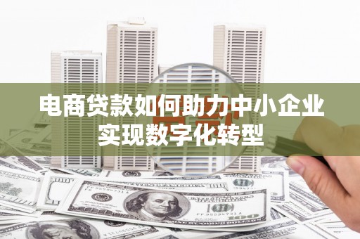 措勤电商贷款如何助力中小企业实现数字化转型