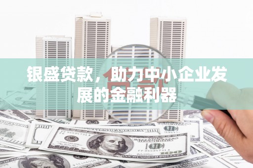 措勤银盛贷款，助力中小企业发展的金融利器