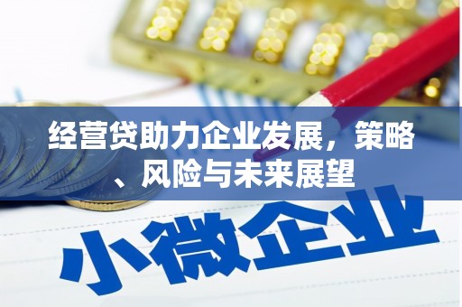 措勤经营贷助力企业发展，策略、风险与未来展望