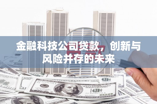 措勤金融科技公司贷款，创新与风险并存的未来