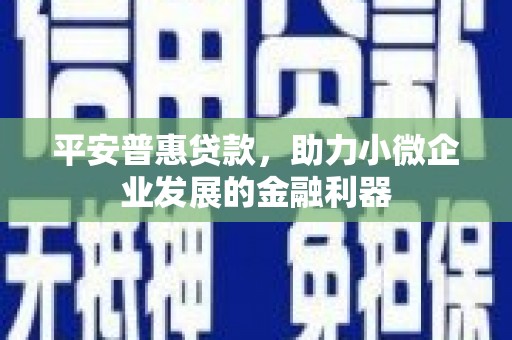 措勤平安普惠贷款，助力小微企业发展的金融利器