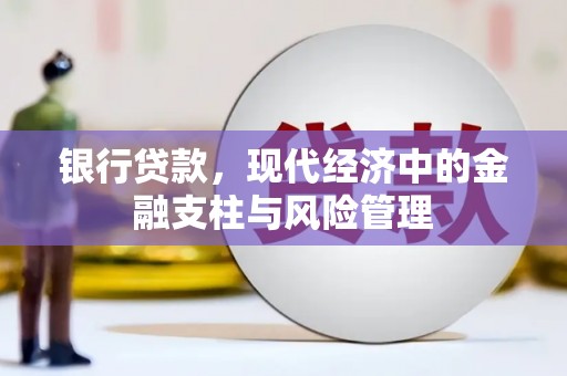 措勤银行贷款，现代经济中的金融支柱与风险管理
