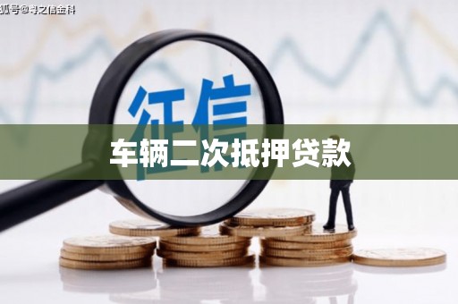措勤车辆二次抵押贷款